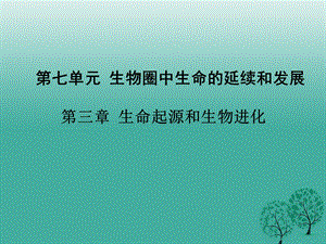 生命起源和生物进化复习ppt课件.ppt