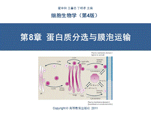 第8章蛋白质分选与膜泡运输ppt课件.ppt