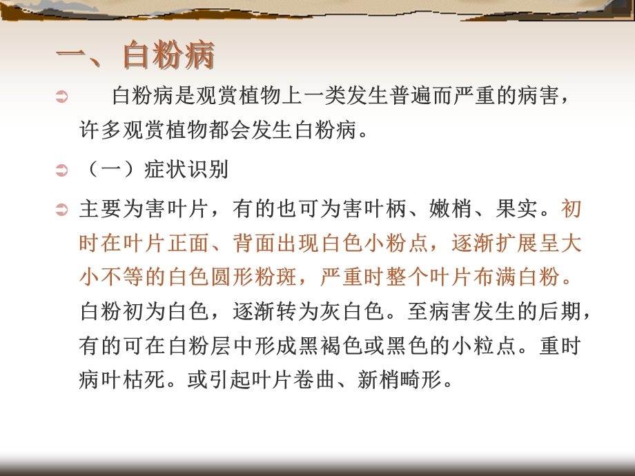 白粉病和锈病ppt课件.ppt_第2页