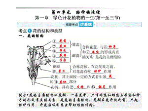 生物第四单元第一章(一至三节)ppt课件.ppt