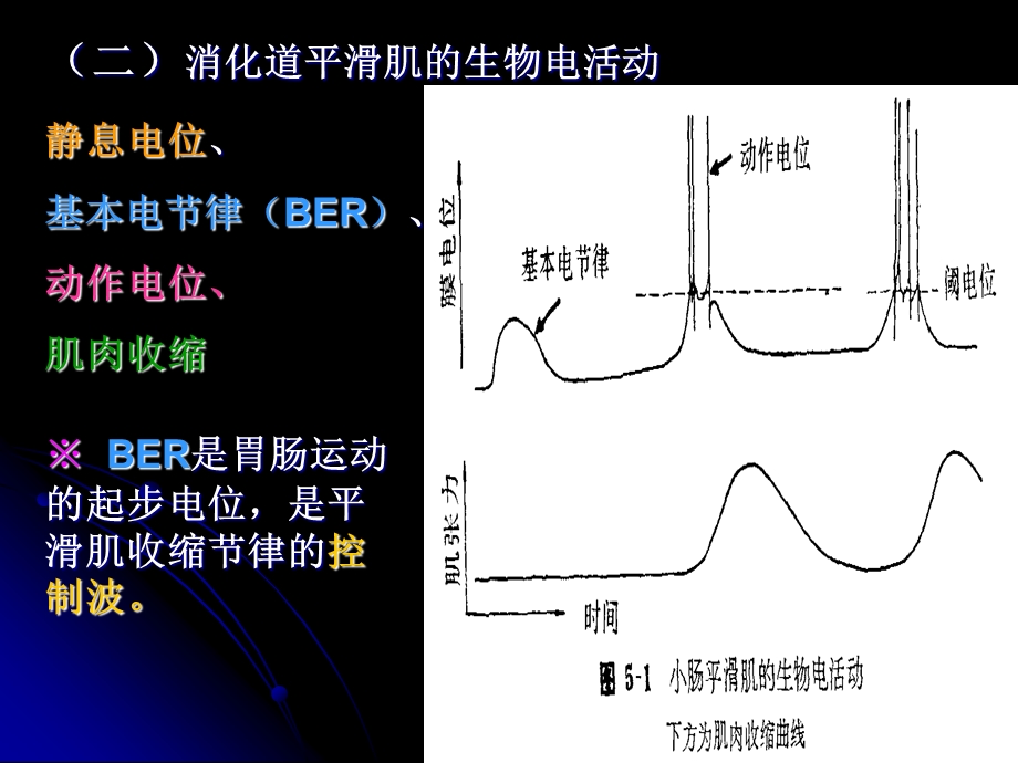 生理学消化和吸收ppt课件.ppt_第3页