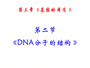 生物：3.2《DNA分子的结构》PPT课件(新人教版 必修2).ppt