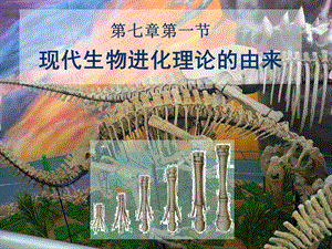 现代生物进化论理论的由来ppt课件.ppt