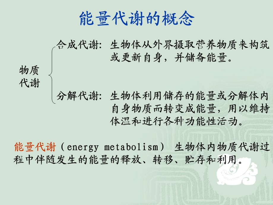 生理学第七章能量代谢与体温ppt课件.ppt_第1页