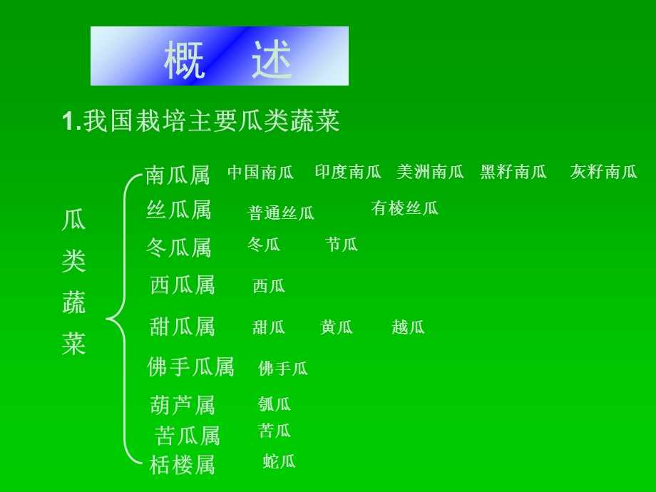 瓜类蔬菜栽培技术ppt课件.ppt_第2页