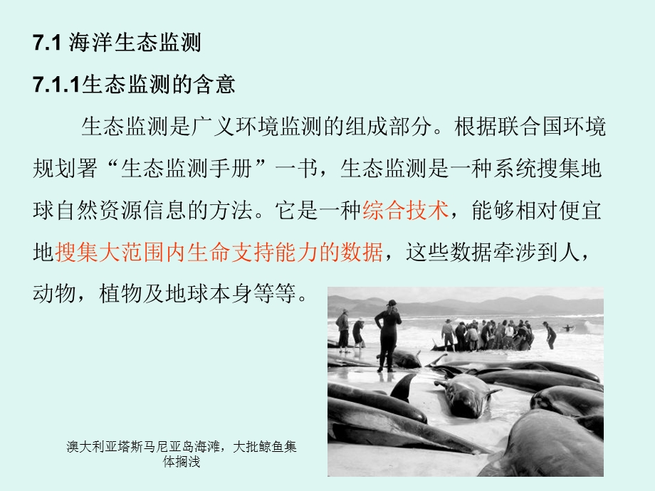 海洋环境监测技术ppt课件生态监测.ppt_第3页