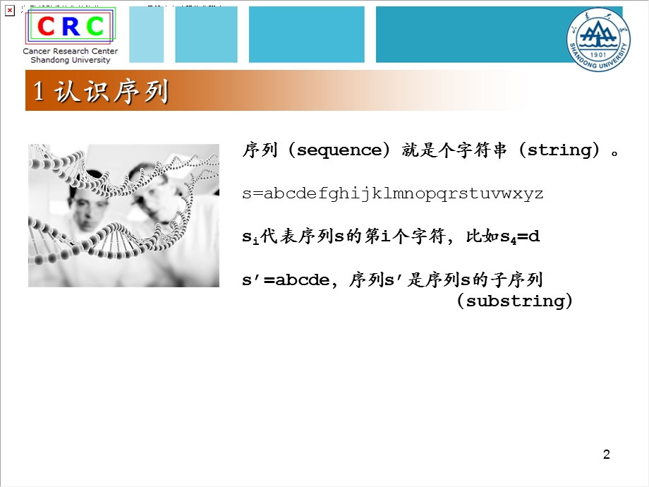 生物竞赛 生物信息学部分 核酸序列比较ppt课件.ppt_第2页