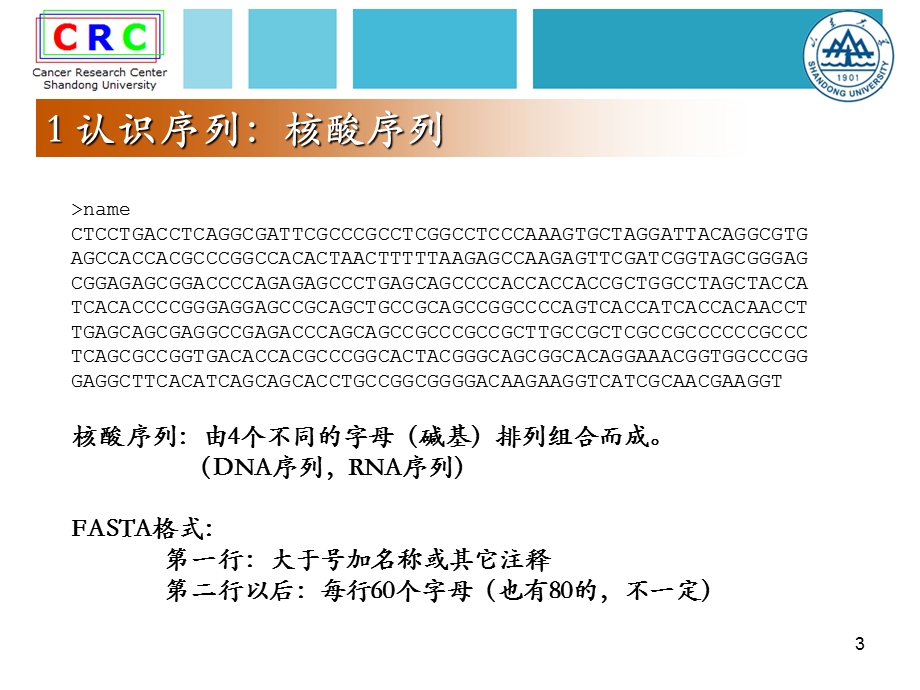 生物竞赛 生物信息学部分 核酸序列比较ppt课件.ppt_第3页