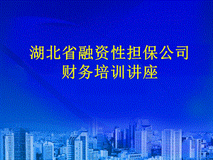 湖北省融资性担保公司财务培训讲座ppt课件.ppt