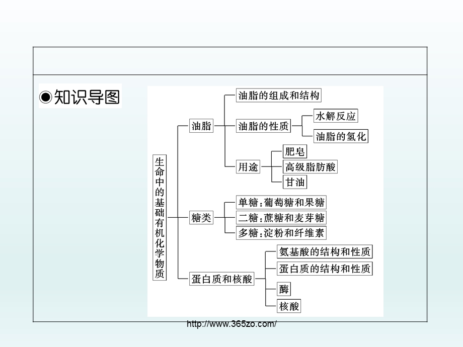 生命中的基础有机化学物质ppt课件.ppt_第3页