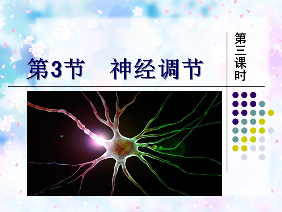 浙教版八年级上册科学第三章ppt课件33神经调节.ppt_第1页