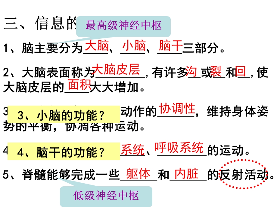 浙教版八年级上册科学第三章ppt课件33神经调节.ppt_第3页