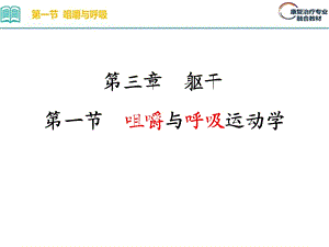 第三章躯干第一节咀嚼与呼吸运动学ppt课件.ppt