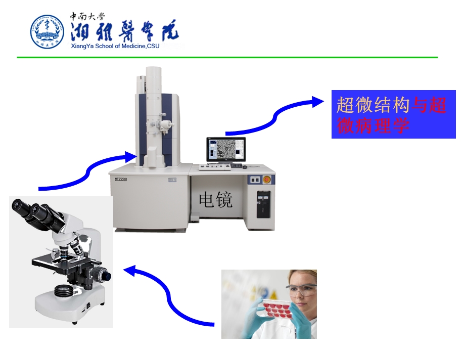 电镜在生物医学中的应用ppt课件.ppt_第2页