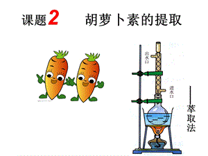 生物选修1：6.2胡萝卜素的提取ppt课件.ppt