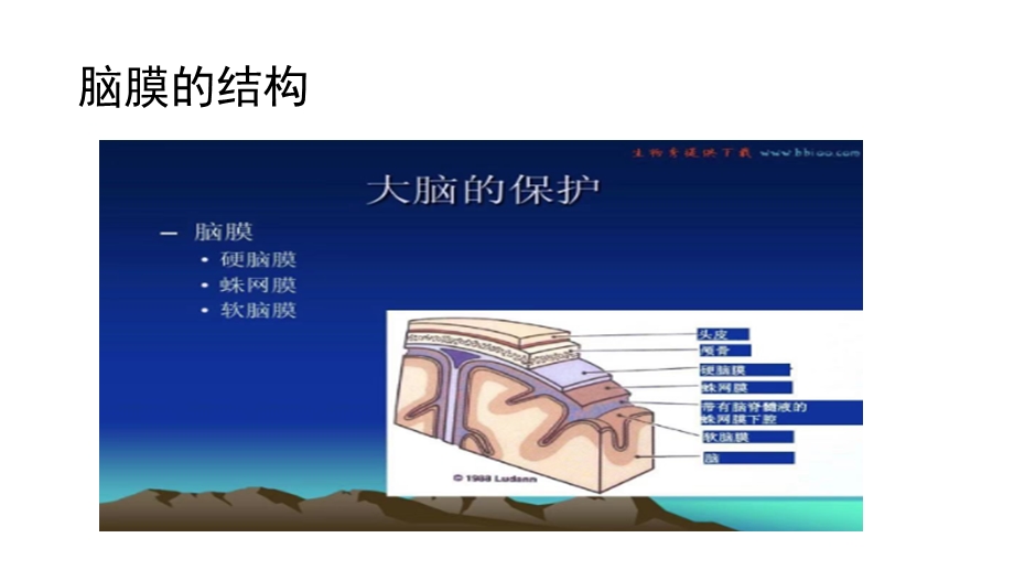 硬膜内外出血的对比ppt课件.pptx_第3页