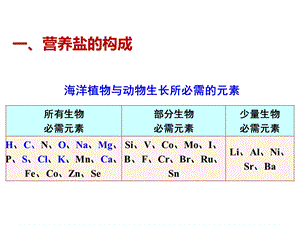 海洋营养元素ppt课件.pptx