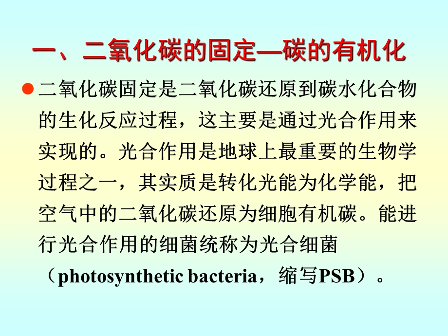 第8章环境工程微生物ppt课件.ppt_第3页