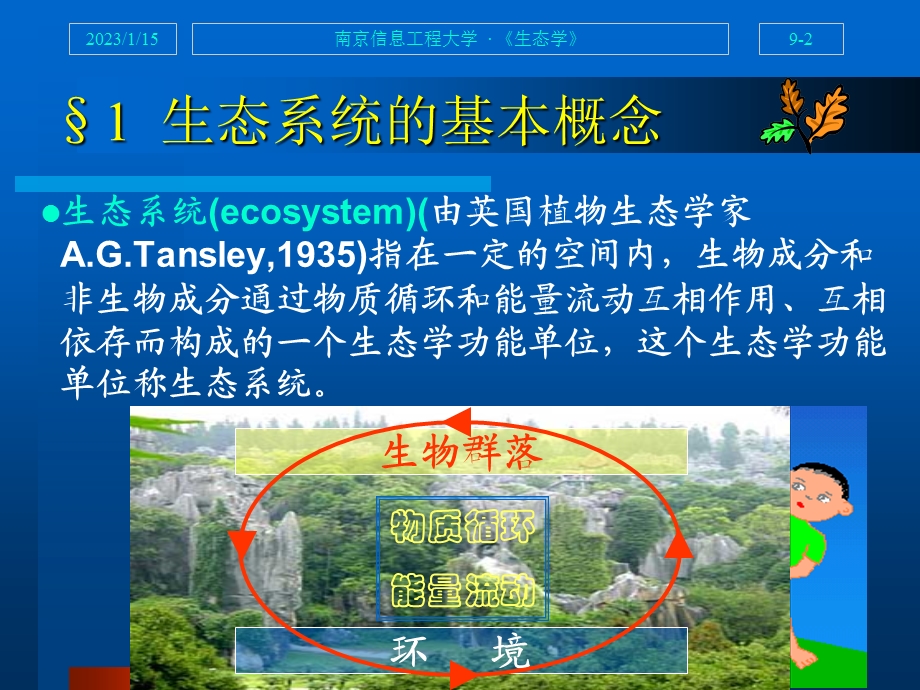 生态系统的一般特征生态学ppt课件.ppt_第2页