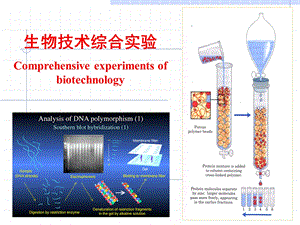 离子交换层析ppt课件.ppt