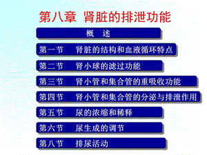 生理学肾脏的排泄ppt课件.ppt