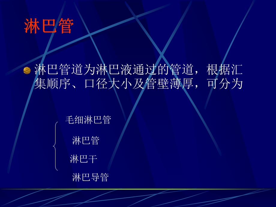 畜禽解剖学——淋巴ppt课件.ppt_第2页