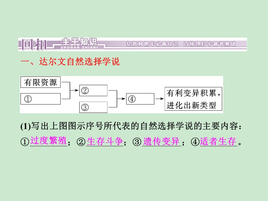 现代生物进化理论ppt课件.ppt_第3页