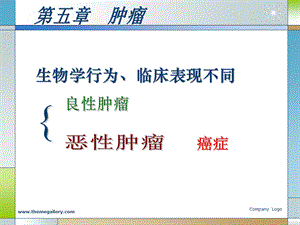 病理学肿瘤ppt课件.ppt