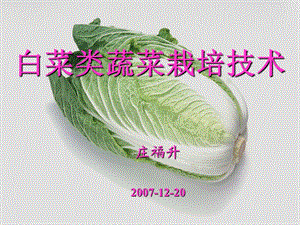 白菜类蔬菜的栽培技术ppt课件.ppt