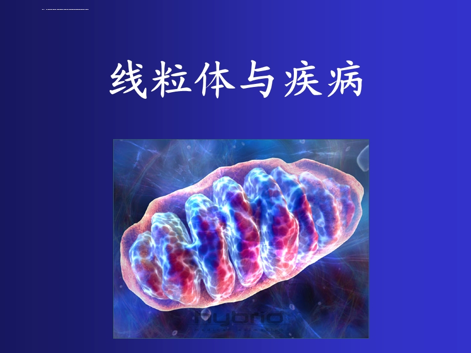 线粒体与疾病ppt课件.ppt_第1页