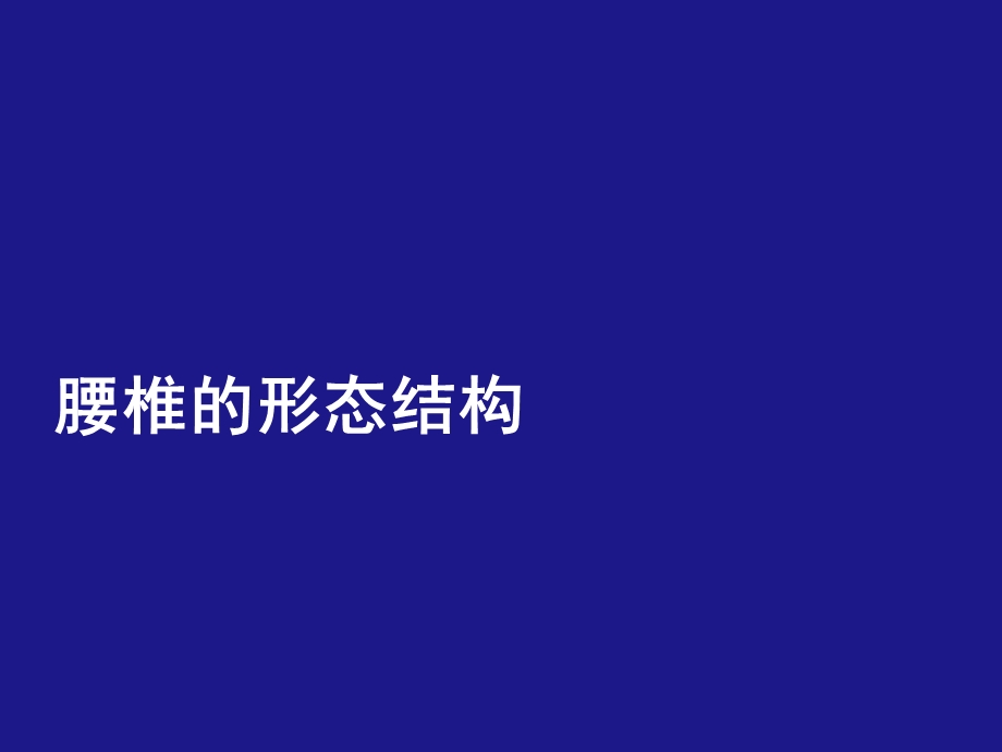 腰椎病ppt课件.ppt_第2页