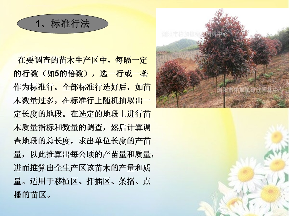 第八章 苗木的出圃ppt课件.ppt_第3页