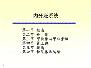 系统解剖学 内分泌系统ppt课件.ppt