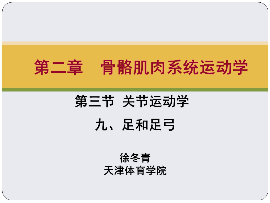 第二章 第三节 关节运动学(九、足和足弓)ppt课件.ppt_第2页