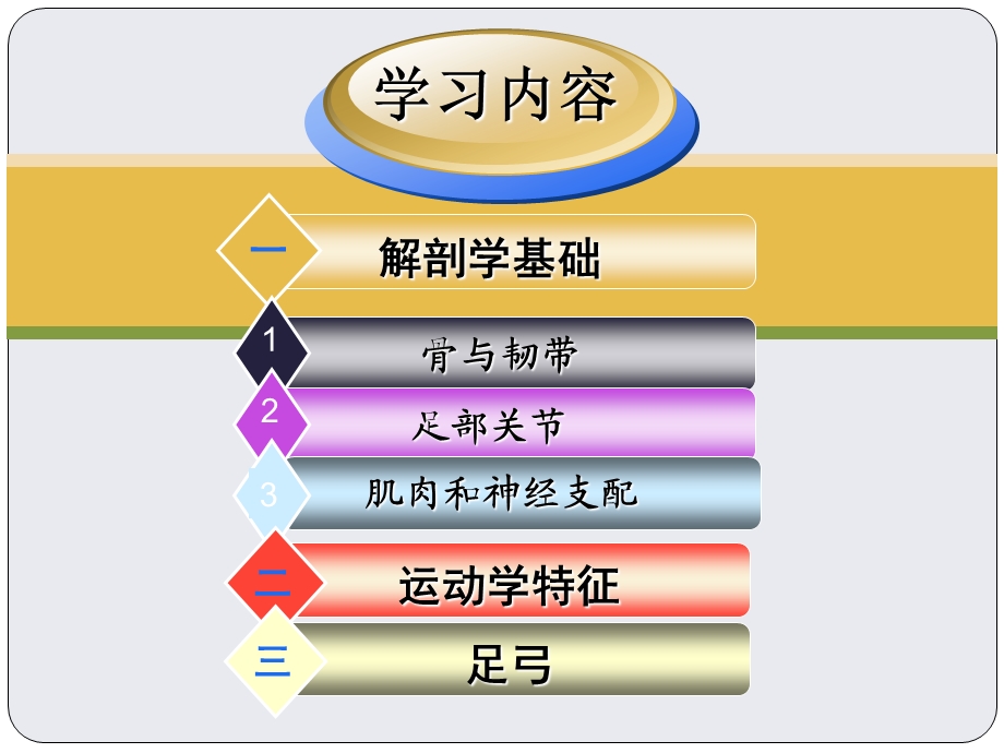 第二章 第三节 关节运动学(九、足和足弓)ppt课件.ppt_第3页