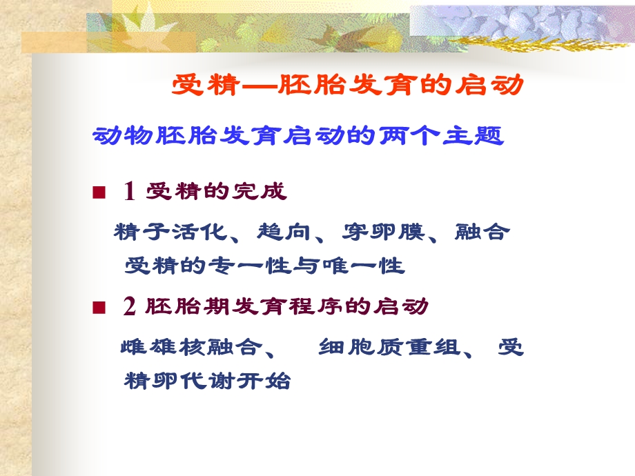 第二章受精的机制ppt课件.ppt_第2页