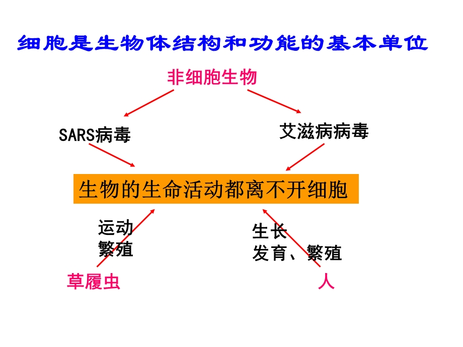 细胞学说整理ppt课件.ppt_第1页