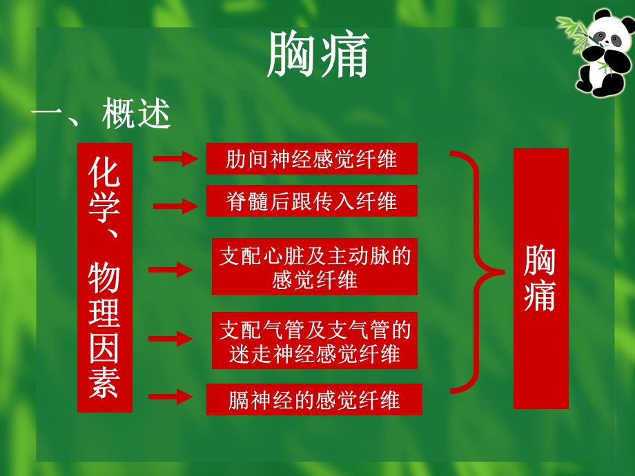 胸痛优秀ppt课件.ppt_第2页