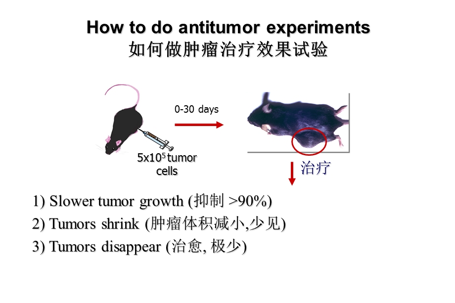 肿瘤免疫治疗的新思路ppt课件.ppt_第2页