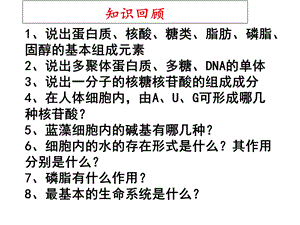 细胞膜系统的边界优质ppt课件.ppt