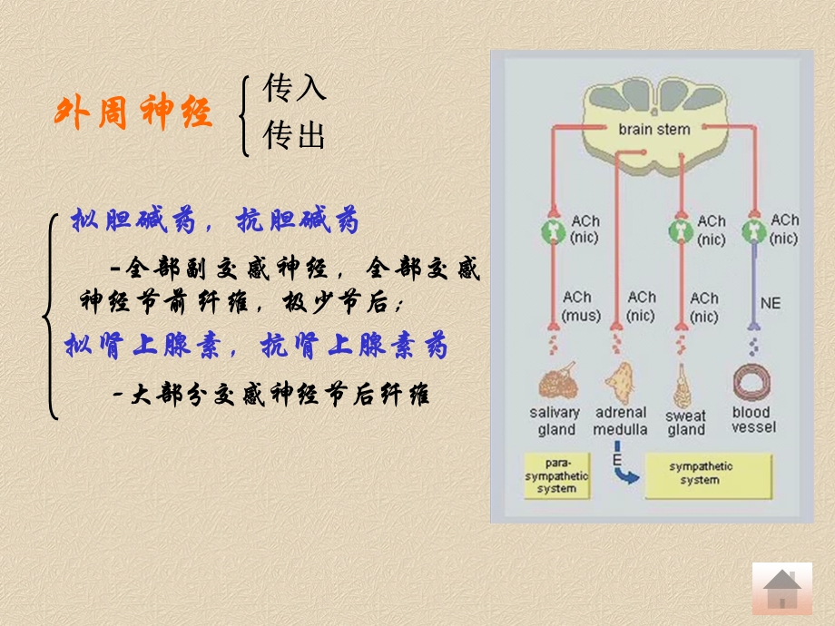 胆碱酯酶抑制剂溴新斯的明ppt课件.ppt_第3页