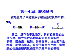 第十七章 胺和酰胺ppt课件.ppt