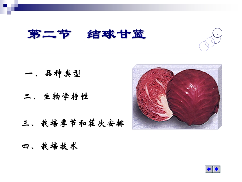 第二节结球甘蓝ppt课件.ppt_第2页