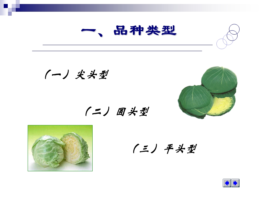 第二节结球甘蓝ppt课件.ppt_第3页