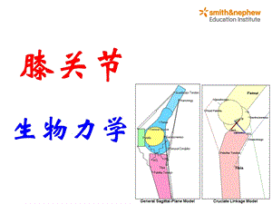 膝关节生物力学ppt课件.ppt