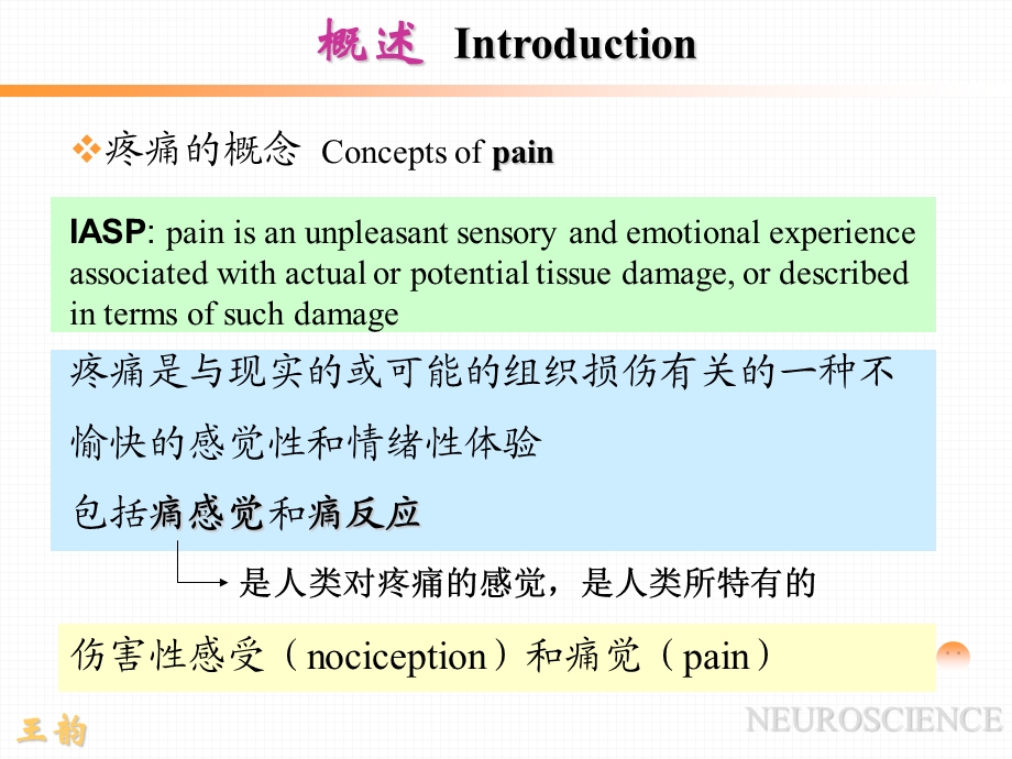 痛觉产生的基础理论知识ppt课件.ppt_第3页