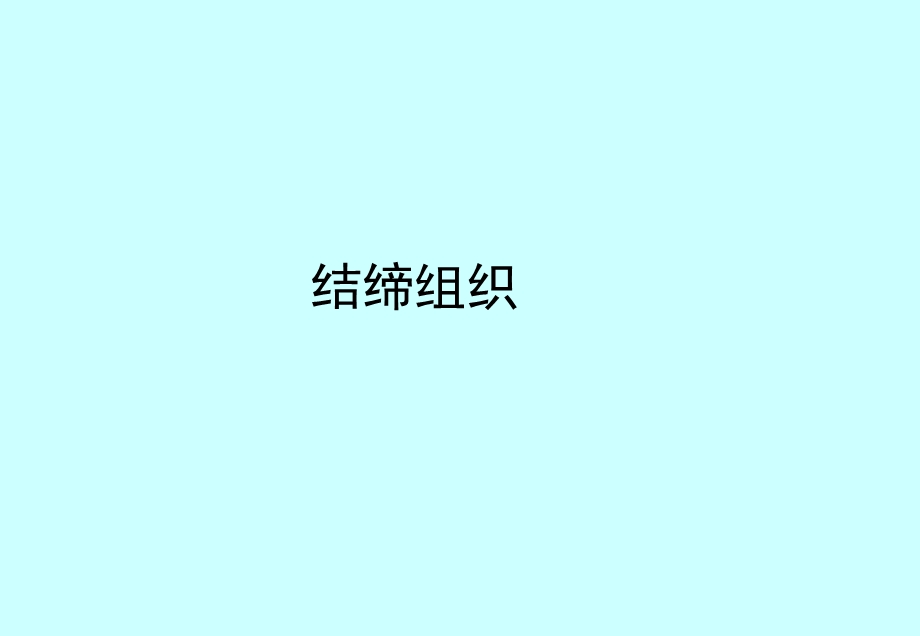 组织胚胎学ppt课件 结缔组织.ppt_第1页