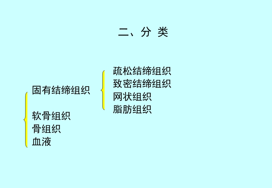 组织胚胎学ppt课件 结缔组织.ppt_第3页