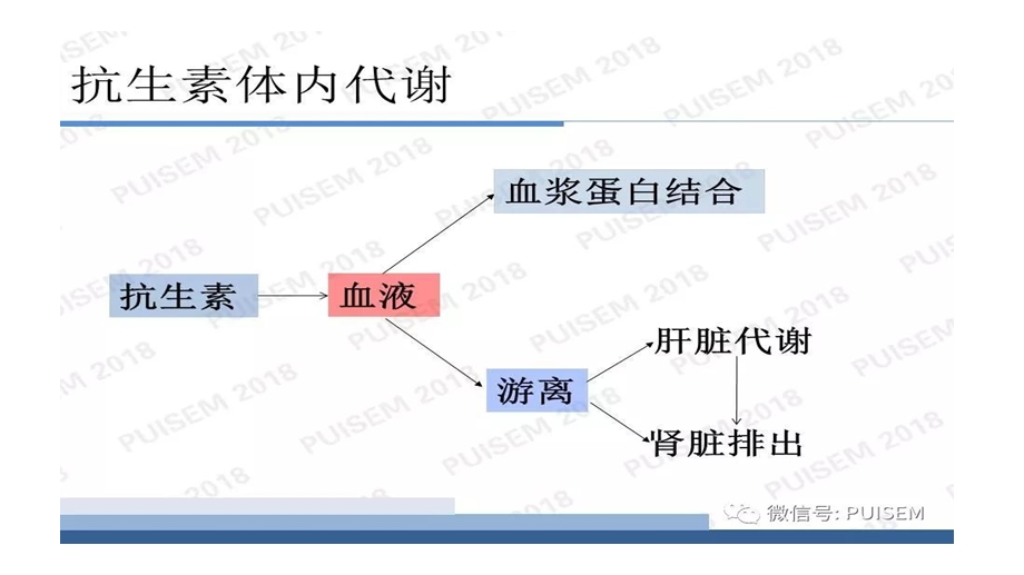 肝肾功能不全的抗感染ppt课件.pptx_第2页