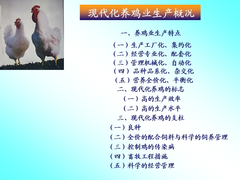 育成鸡及成鸡的饲养管理详解ppt课件.ppt_第2页